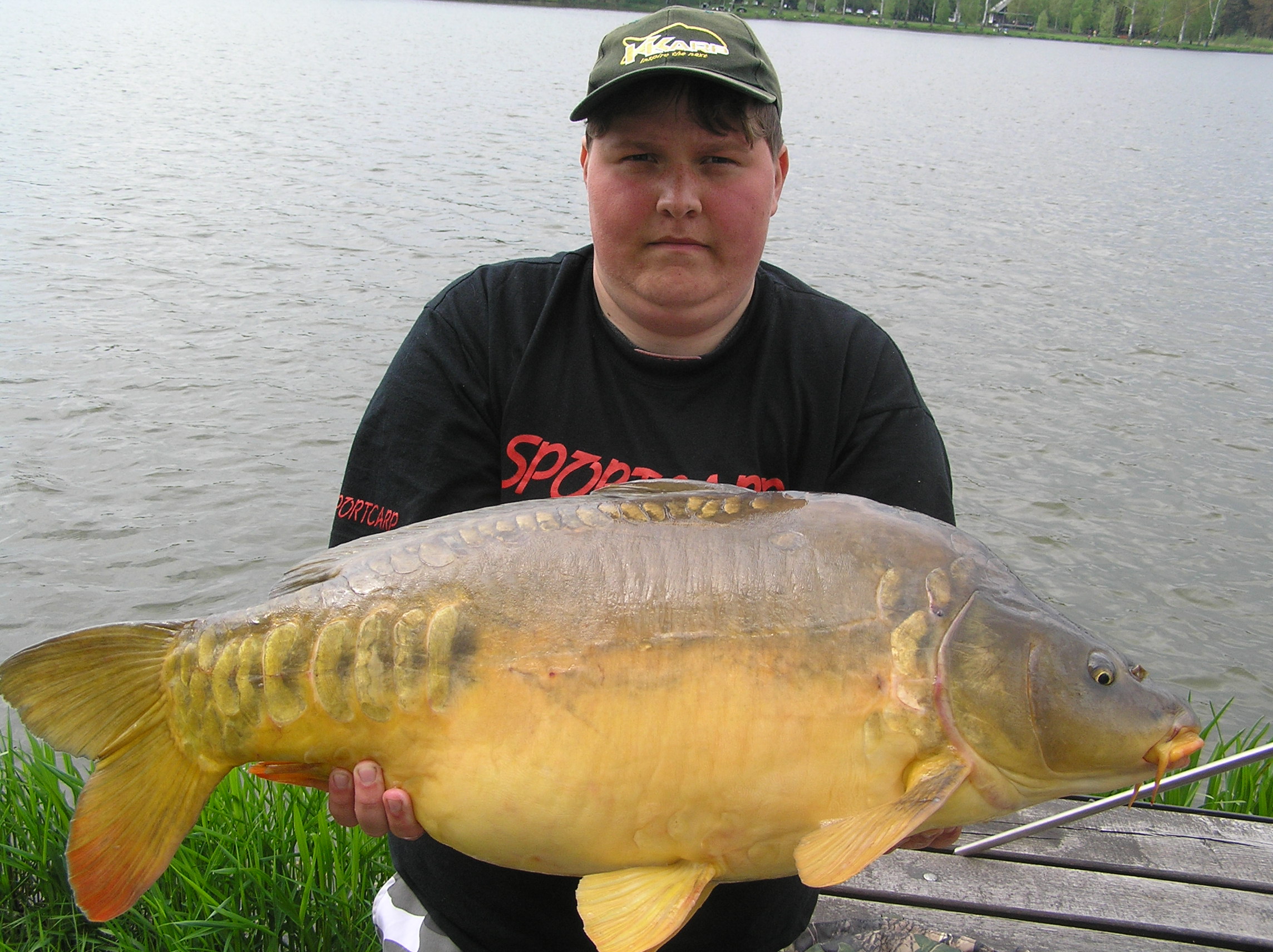 kapr 80cm,12.5kg.JPG