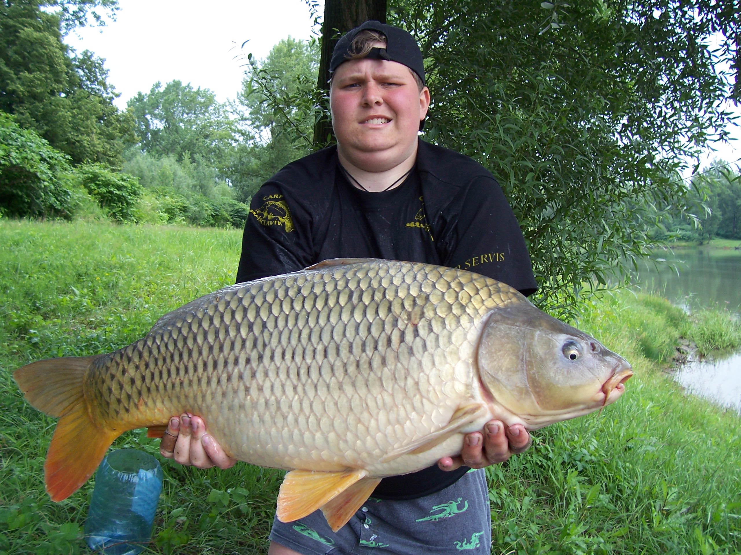 78cm,10kg.JPG